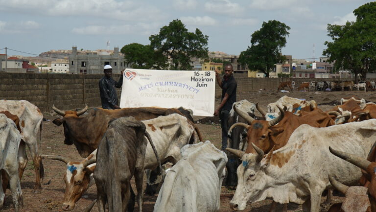 Mali Kurban Organizasyonu